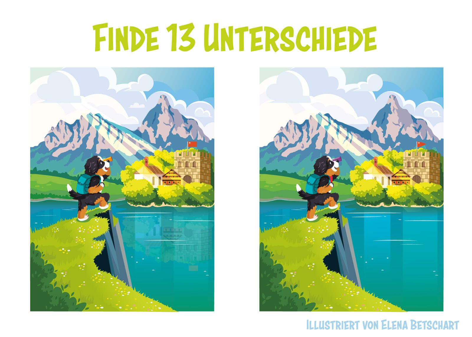 Welpe, Berner Sennenhund