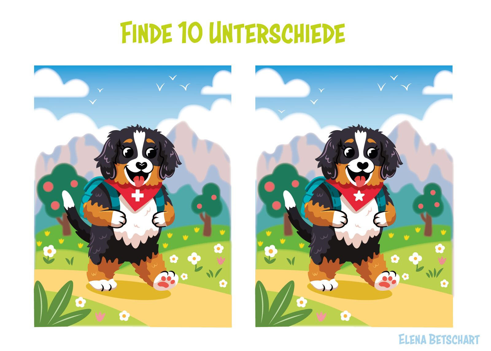 Welpe, Bernersennenhund